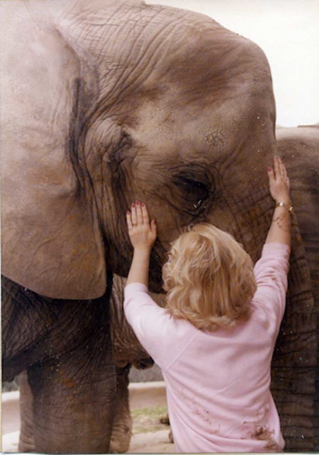 Samantha talks with the Elephant